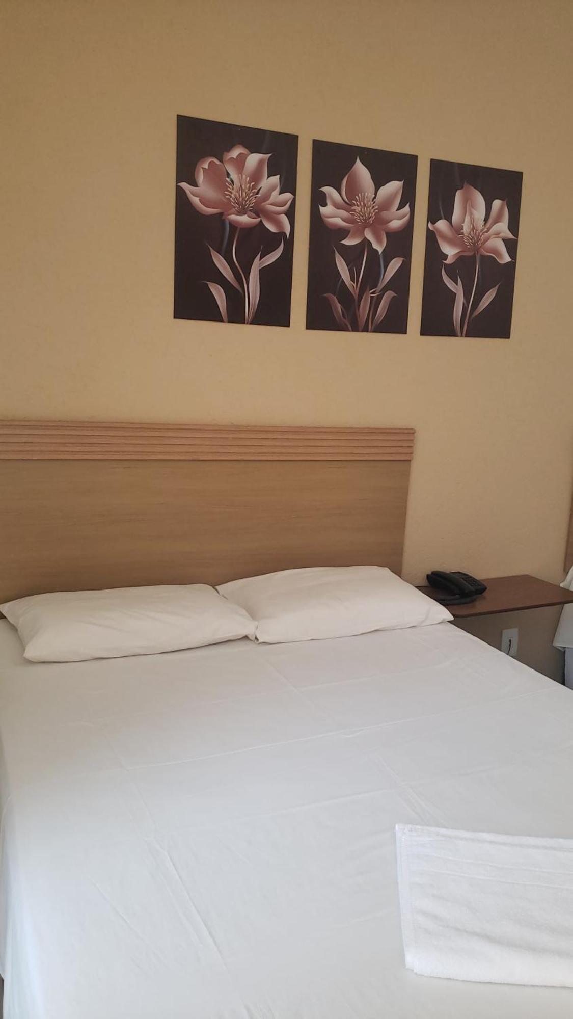 Hotel Flamboia Araraquara Esterno foto